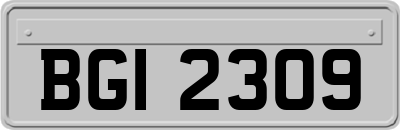 BGI2309