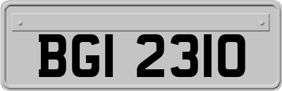BGI2310
