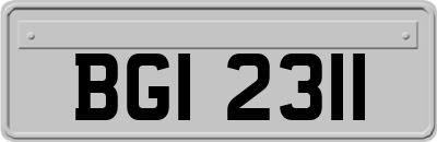 BGI2311