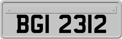 BGI2312