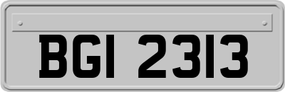 BGI2313