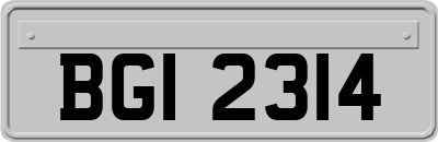 BGI2314