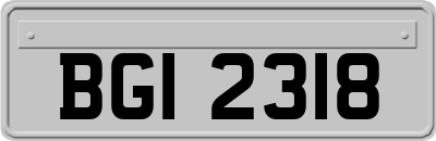 BGI2318