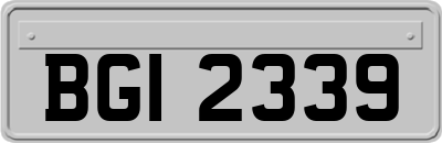 BGI2339