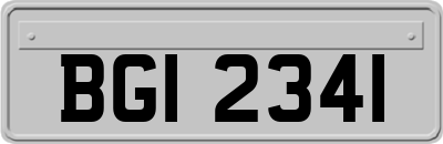 BGI2341