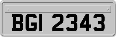 BGI2343