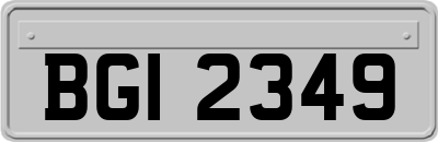 BGI2349