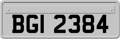 BGI2384