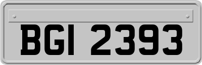 BGI2393