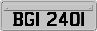 BGI2401