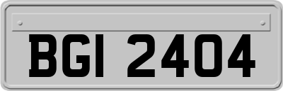 BGI2404