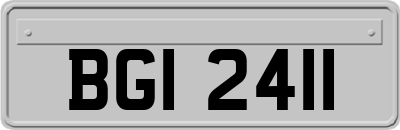 BGI2411