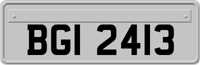 BGI2413