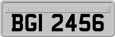 BGI2456