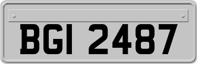 BGI2487