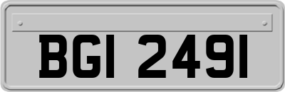 BGI2491