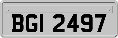 BGI2497