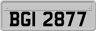 BGI2877