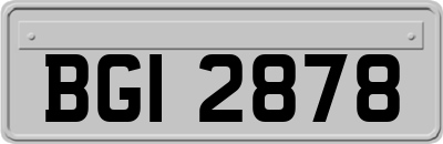 BGI2878