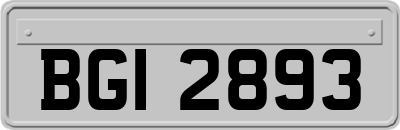 BGI2893