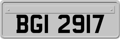 BGI2917