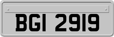 BGI2919