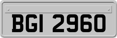 BGI2960