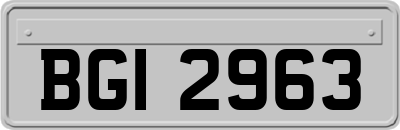 BGI2963