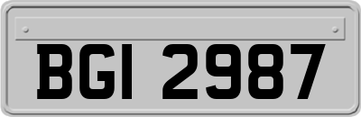 BGI2987