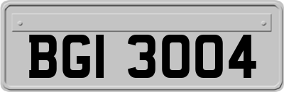 BGI3004