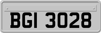 BGI3028