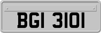 BGI3101