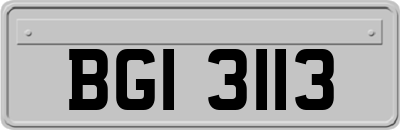 BGI3113