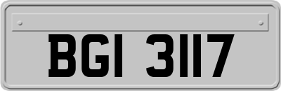 BGI3117