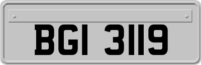 BGI3119