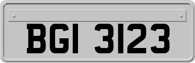 BGI3123