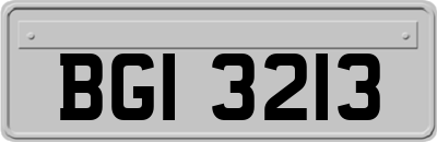 BGI3213