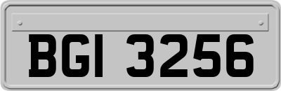 BGI3256
