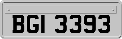 BGI3393