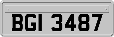 BGI3487