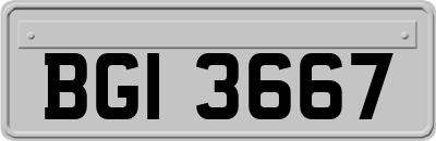 BGI3667