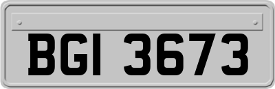 BGI3673