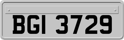BGI3729