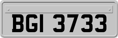 BGI3733