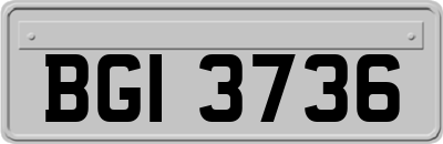 BGI3736