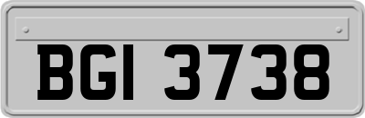 BGI3738
