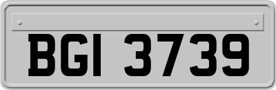 BGI3739