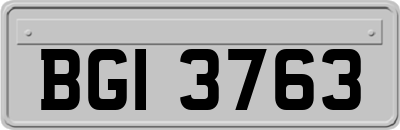 BGI3763