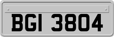 BGI3804