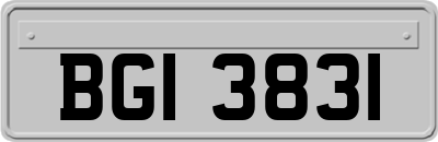 BGI3831